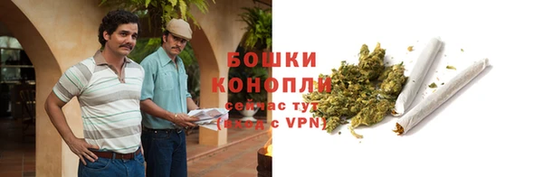 бошки Заводоуковск